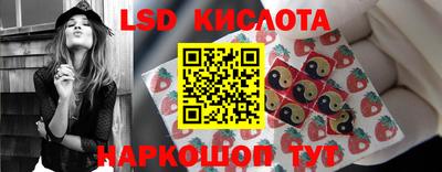 стаф Свободный