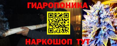 стаф Свободный