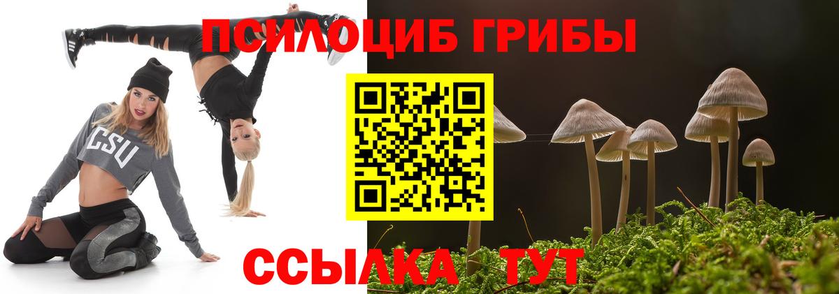 Псилоцибиновые грибы GOLDEN TEACHER Сафоново
